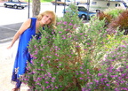 MomSageFlowers