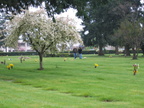 IMG 0055