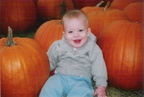 pumpkins