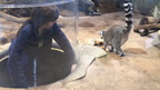 SC Aquarium 2015