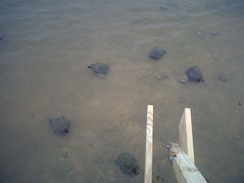 IMG00013-20110409-0911.jpg