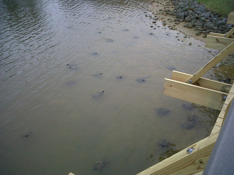 IMG00016-20110409-0913.jpg
